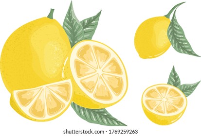 Set of illustrations with whole, half and slice lemon with leaves
