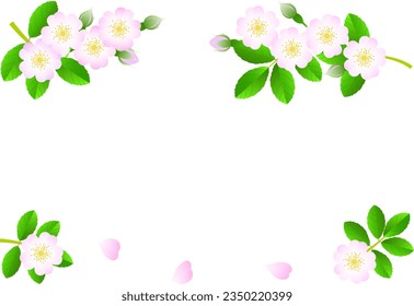 Set of illustrations of wild roses blooming in spring