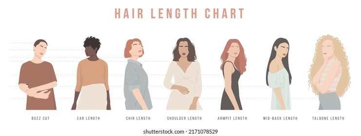 A set of illustrations of women with different hair lengths. Chart of hair length for haircuts and hairstyles.