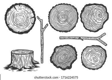 Set of illustrations of wood slice in engraving style. Design element for poster, label, sign, emblem, menu. Vector illustration