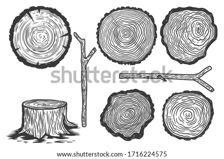 Set of illustrations of wood slice in engraving style. Design element for poster, label, sign, emblem, menu. Vector illustration