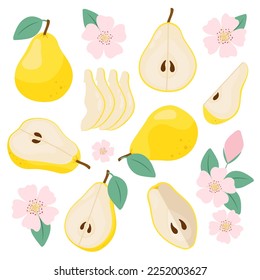 
Set of illustrations of yellow ripe pears. Sliced ​​yellow pears with flowers.