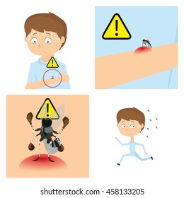 Set of illustrations for zika prevention, Vector