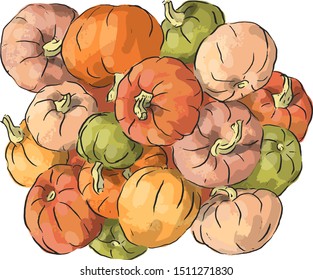 Set illutration with multicolored pumpkins