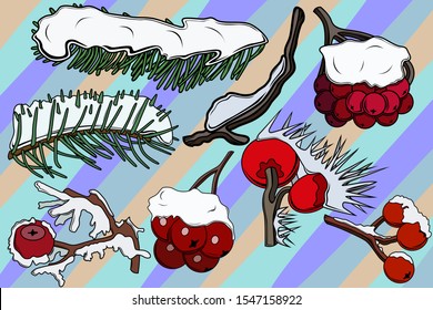 Set with the image of winter branches and berries covered with a large layer of snow. Snowy image. Christmas tree in the snow. Christmas image. Vector image.