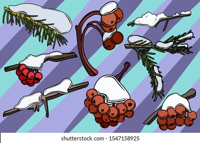 Set with the image of winter branches and berries covered with a large layer of snow. Snowy image. Christmas tree in the snow. Christmas image. Vector image.