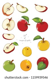 Set of images of apples on a white background. You can use it for stickers, logos, prints, design booklets, labels and much more.