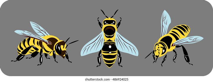 set of images of bees