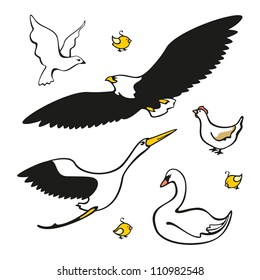 Conjunto de imágenes de aves