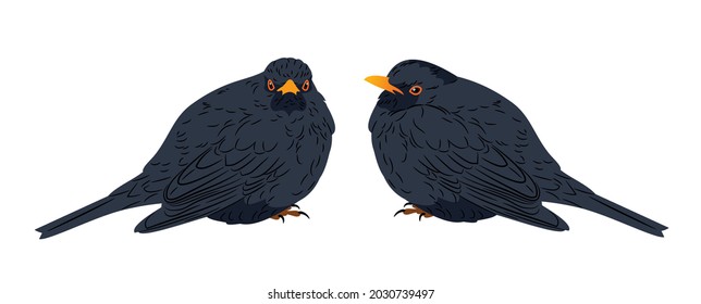 A set of images of birds