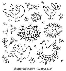 Set of images of birds. Design elements in doodle style. Natural style, branches, plants, eggs, nests. Black outline on a white background.