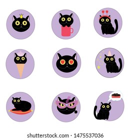 
Set of images with a black cat
