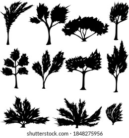 
a set of images of the contours of various trees