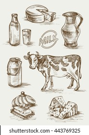 Set of images of dairy products. Cow, butter, bottle and a glass of milk, cheese head, slices, milk can, jar and label. Hand drawn doodle vector illustration. Natural product for a healthy lifestyle.