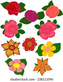 A set of images of different flowers. Vector illustration.