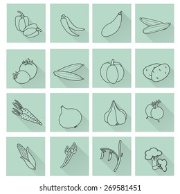 Set of images of different vegetables. Vector illustration.