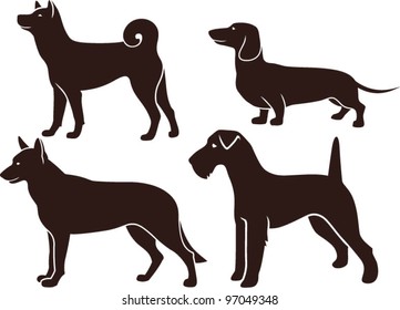 Set of images of dogs