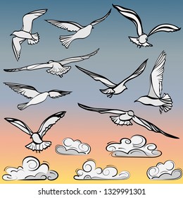 set of images of flying birds seagulls and lush clouds against an abstract sky