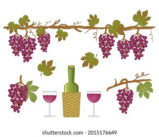 Set images with glass of red wine, bunch of grape and bottle, vector image, eps10