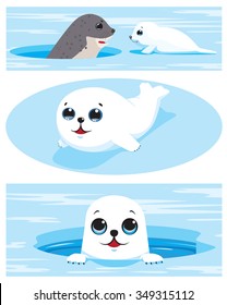 Set of images of harp seal pups. Vector illustration