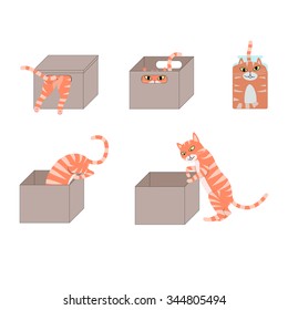 set of images of icons with a cat in a cardboard box. Vector illustration