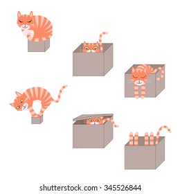 set of images of icons with a cat in a cardboard box. Vector Illustration