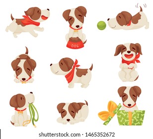 Set of images of a joyful puppy. Vector illustration on white background.