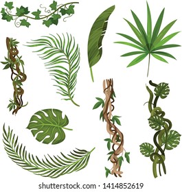 Set of images of leaves and stems. Vector illustration on white background.