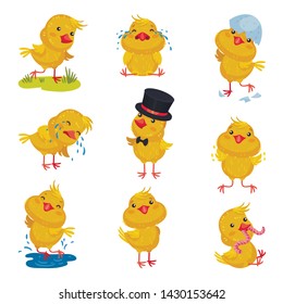 Set of images of little chickens. Vector illustration on white background.