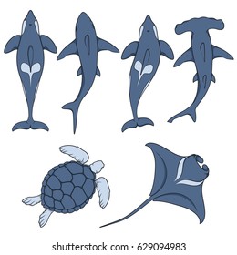 Set of images with marine animals. Vector color isolated objects on white background.