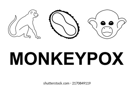 Set of images for monkeypox design. Vector illustration