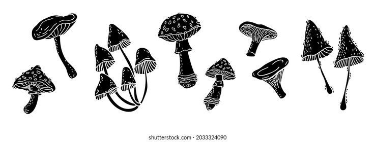 Set of images of mushrooms, vector clip art, black silhouettes on white background 