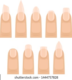 Set of images of nails. Vector illustration on white background.