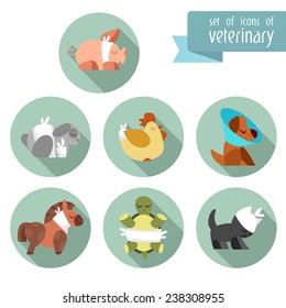 A set of images on the theme of Veterinary with an animals. Flat icons. Vector design templates in cartoon style. Treatment of pets.