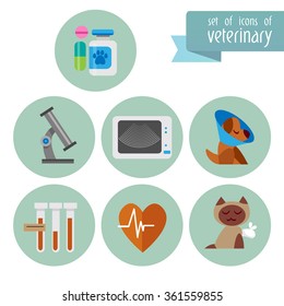 A set of images on the theme of Veterinary with an animals. Flat icons. Vector design templates in cartoon style. Treatment of pets.