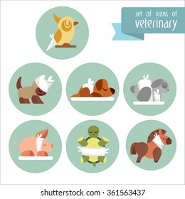 A set of images on the theme of Veterinary with an animals. Flat icons. Vector design templates in cartoon style. Treatment of pets.