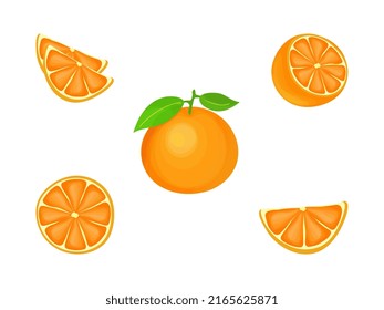 A set of images of an orange. Vector illustration