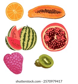 
set of images of six fruits on a white background, vector