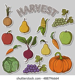 set of images / stickers on the theme of harvesting, illustrations fruits and vegetables