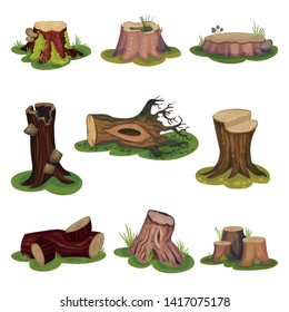 Set of images of stumps and snags. Vector illustration on white background.