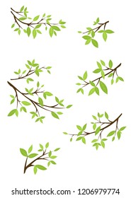 Set of images of tree branches with green foliage.