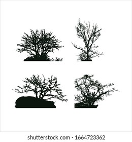 Set of images of trees with bare branches