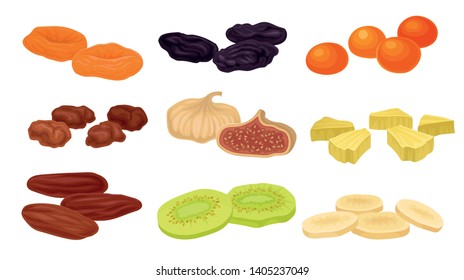 Set of images of various dried fruits. Vector illustration on white background.