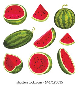 Set of images of watermelons. Vector illustration on white background.