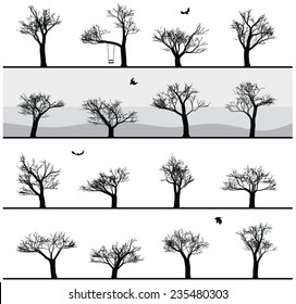 Set of images of winter trees without leaves. Vector illustration on a white background