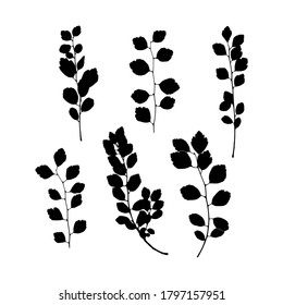 Set imprint of a natural branch with leaves. Silhouette of a bush branch. Botanical vector illustration. Suitable for design, prints, postcards.