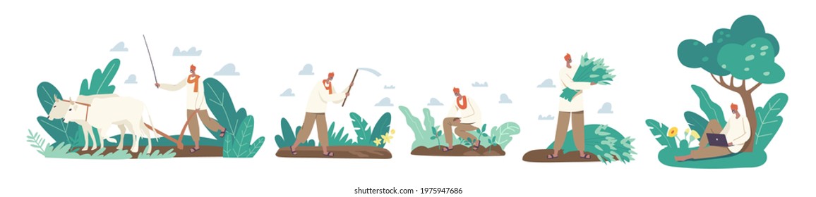 Set of Indian Farmers Characters in Traditional Clothes Work. Rural Man Plowing Field by Cow, Planting and Collect Harvest. Agricultural Worker Use Laptop or Device. Cartoon People Vector Illustration