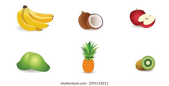 Set of Indian Fruits vector on white isolated