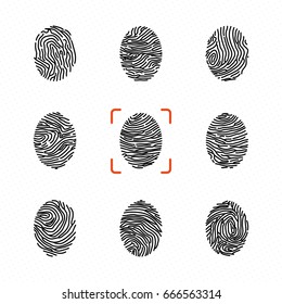 Set of individual fingerprints for personal identification. Vector illustrations