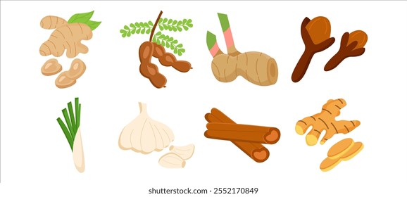 set of Indonesian spices. Vector Illustration
